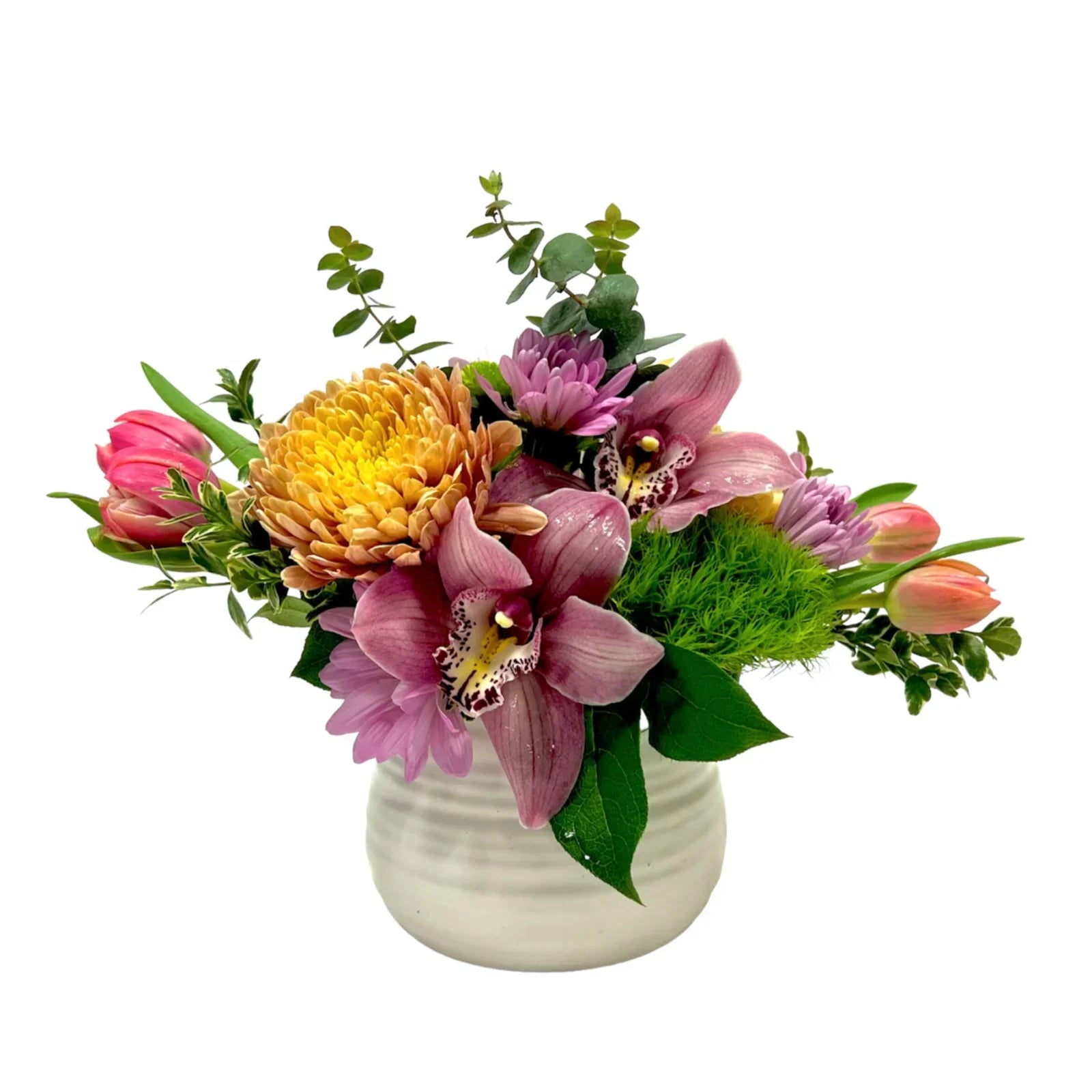 Oh So Pretty! – Orchids, Tulips & More
